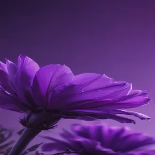 purple aesthetic wallpapers iphone