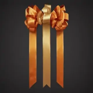 ribbon banner png