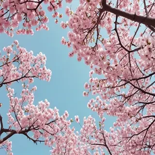 spring aesthetic desktop wallpaper