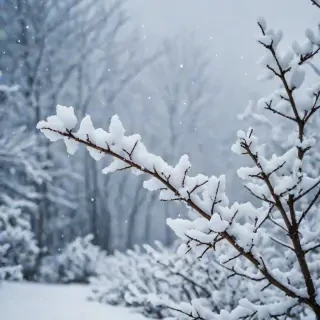 snow iphone background