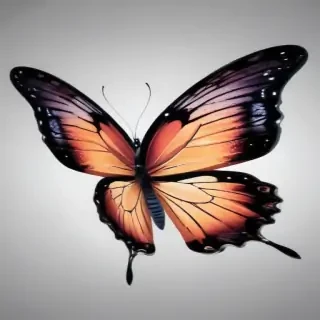 butterfly outline