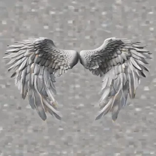 wings transparent background