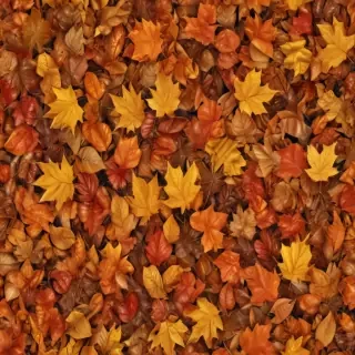 fall leaves png