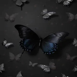 black wallpaper butterfly