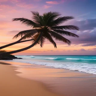 beach phone wallpaper
