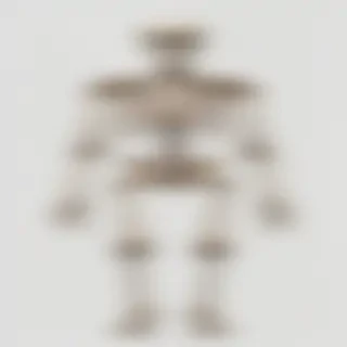 skeleton transparent