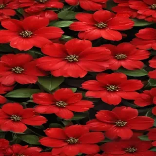flower background red