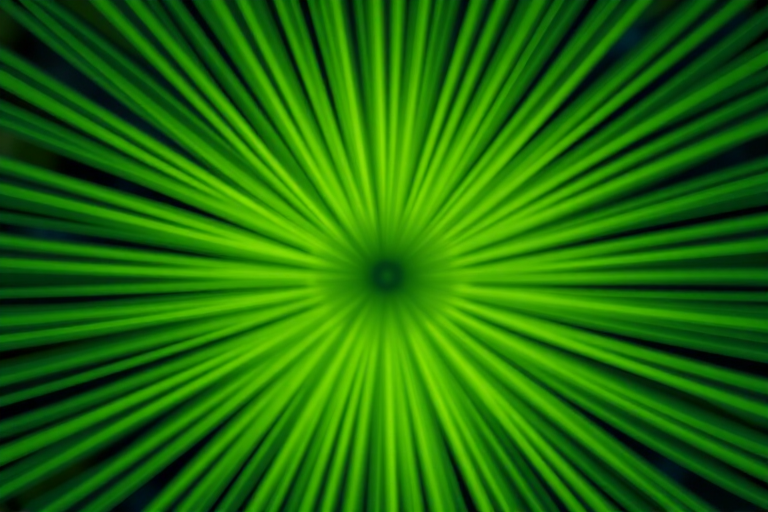 Generate a vibrant radial green pattern with a soft bokeh effect, using a Canon EOS R5, 50mm lens at f/1.8, ISO 100, shutter speed 1/125s, captured from a high-angle view for enhanced depth.
