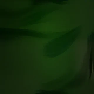 green abstract bg