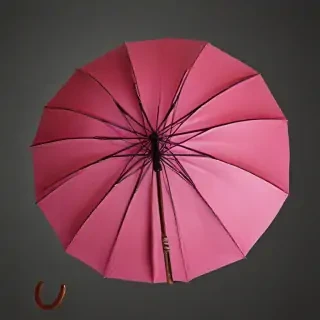 umbrella png