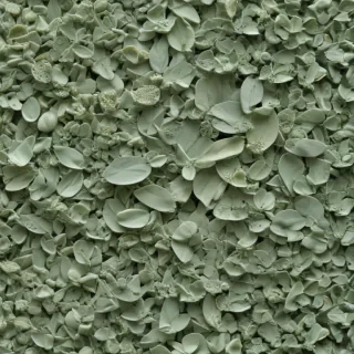 aesthetic sage green