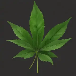 weed leaf png