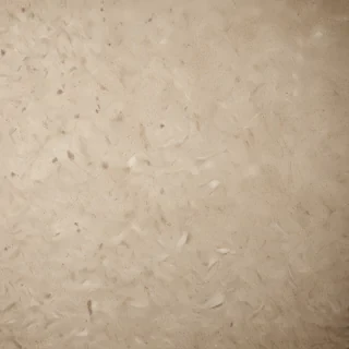 grain paper texture