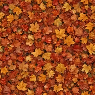 autumn leaves png