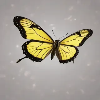 butter fly png