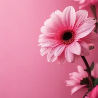 cute pink iphone backgrounds