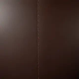 leather background