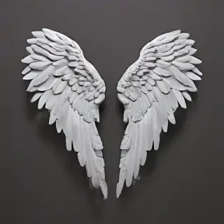 angel wing pictures