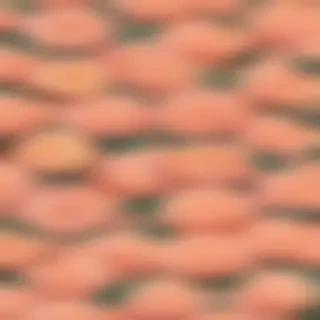 peach wallpaper aesthetic