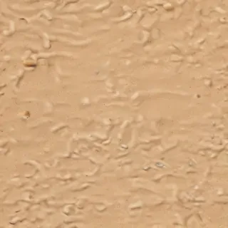 cartoon sand