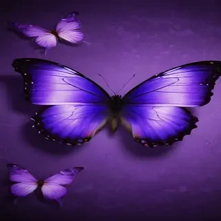 wallpaper purple butterfly