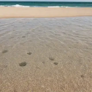 beach transparent