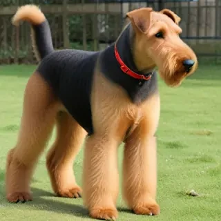 airedale terrier