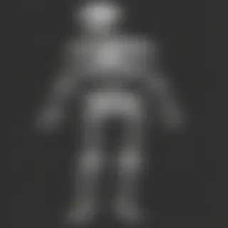skeleton transparent background