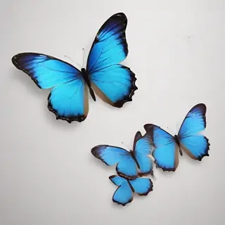 blue butterfly png