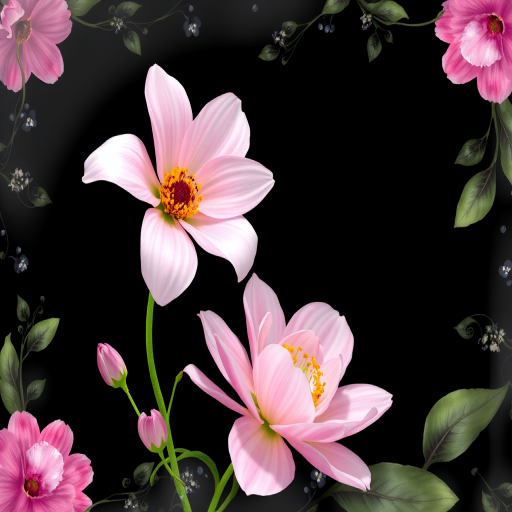 flower transparent border