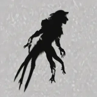 shadow transparent
