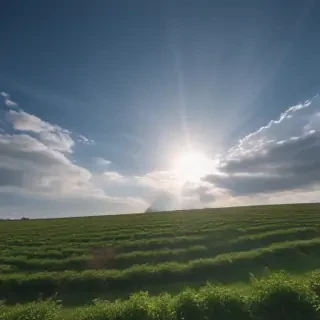 clear sky