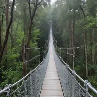 suspension bridge