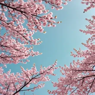 spring aesthetic wallpaper
