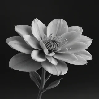 flower png black and white