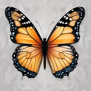 butterfly clipart png