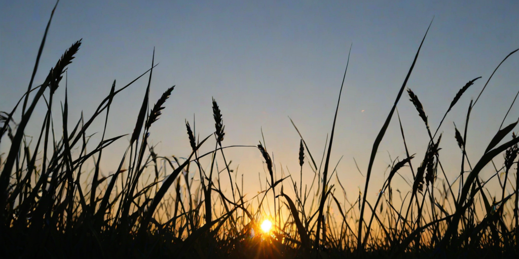 grass silhouette