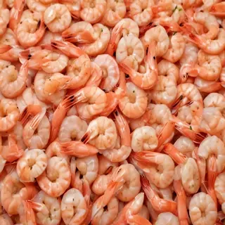shrimp png