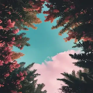 fondos aesthetic