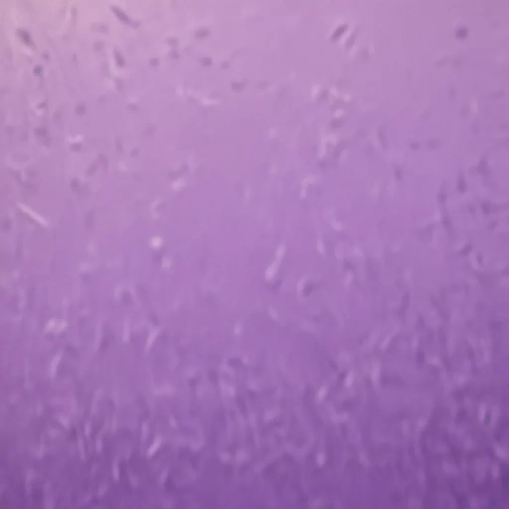 mauve background