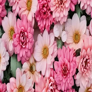background iphone flowers