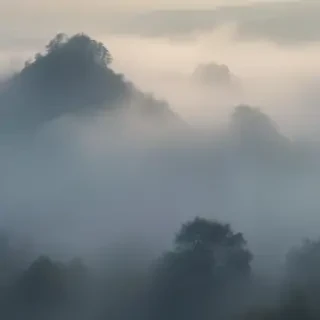 foggy background