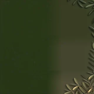 olive green aesthetic wallpaper