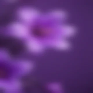 cute purple wallpaper for iphone