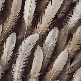 feather background