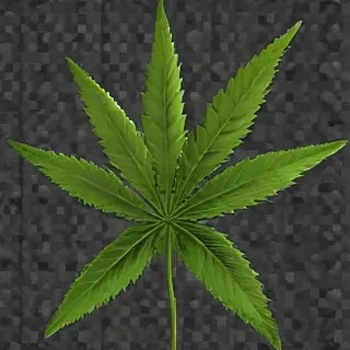 marijuana leaf transparent background