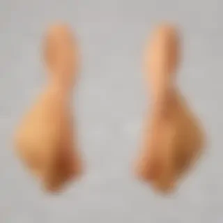 ears png