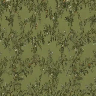 olive green aesthetic wallpaper