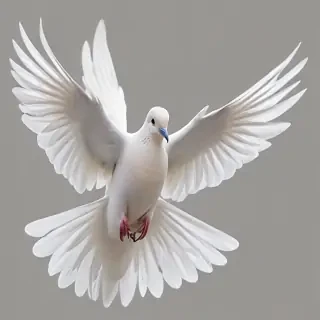 dove png