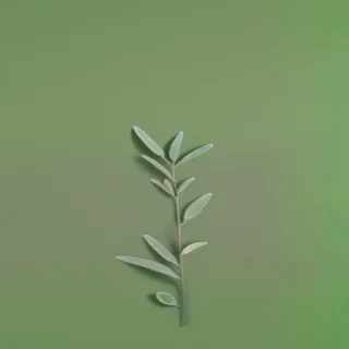 light sage green background